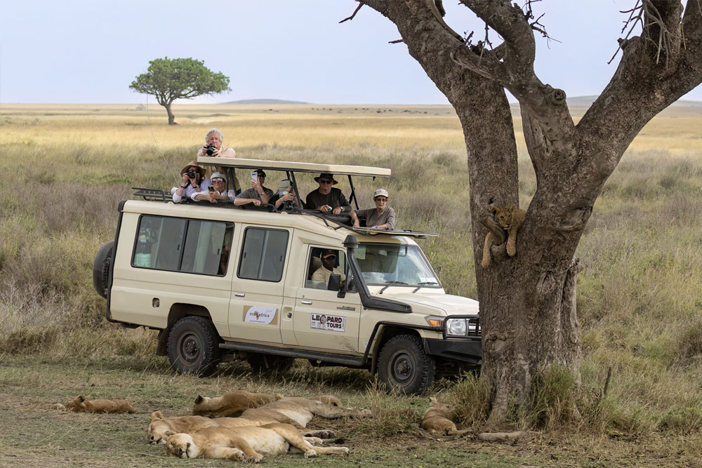 Adventure Safaris