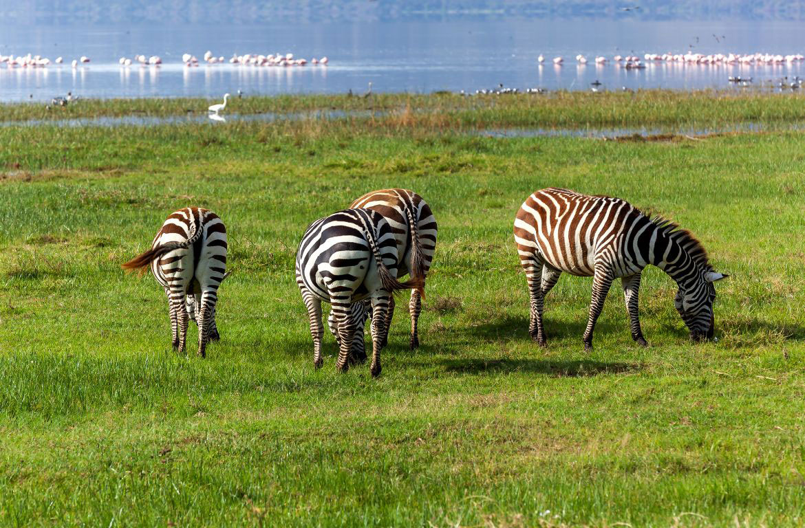 Lake Nakuru National Park