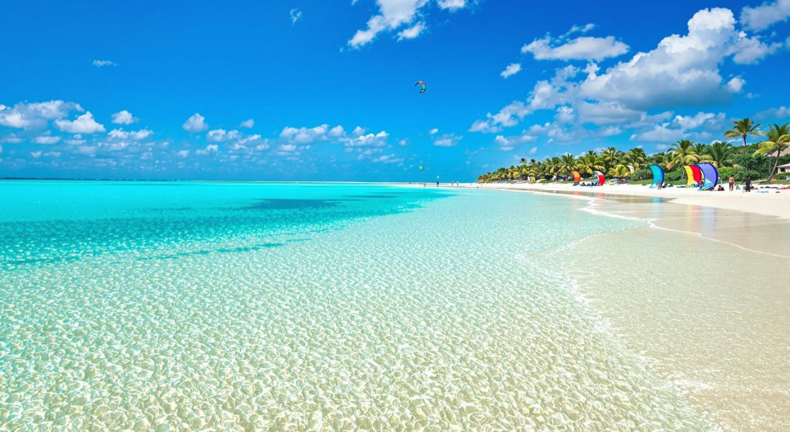 Bwindi Gorillas Safari