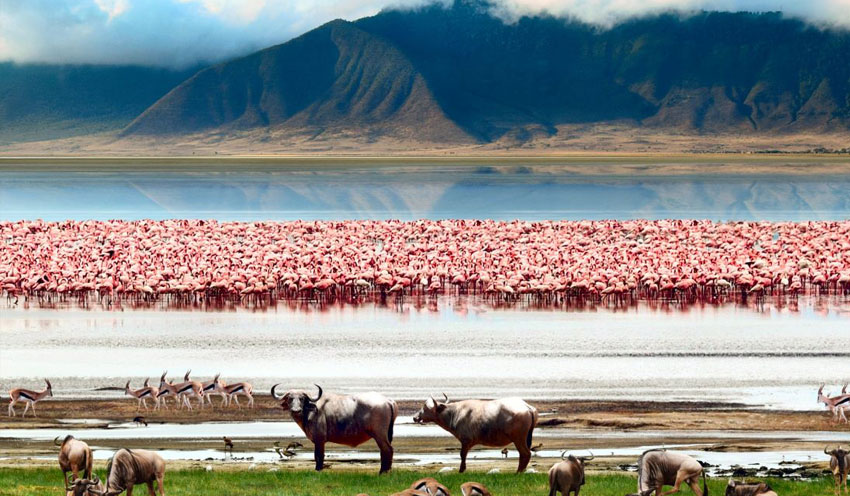 Ngorongoro Crater