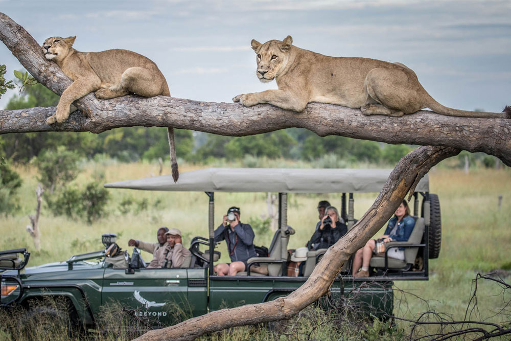 Off the Beaten Path Adventures