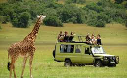 2 Days Safari to Queen Elizabeth