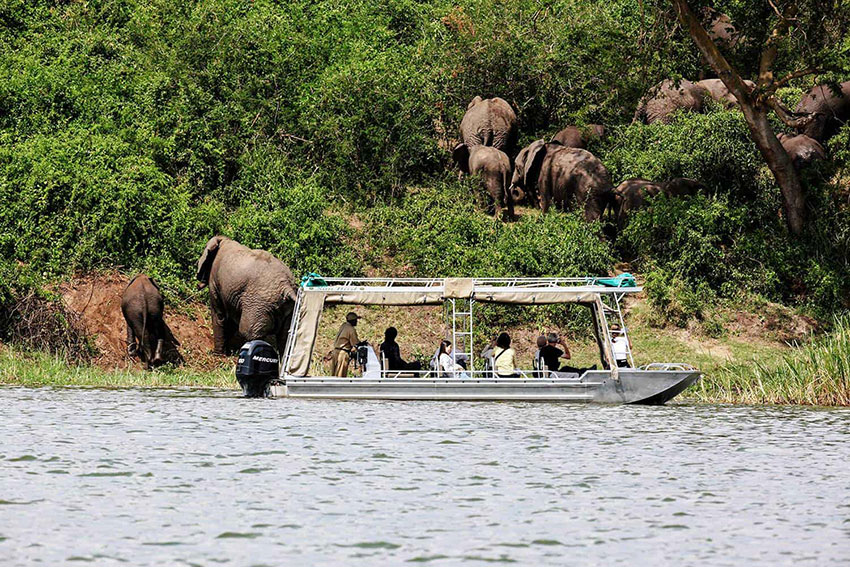 Queen Elizabeth National Park Uganda