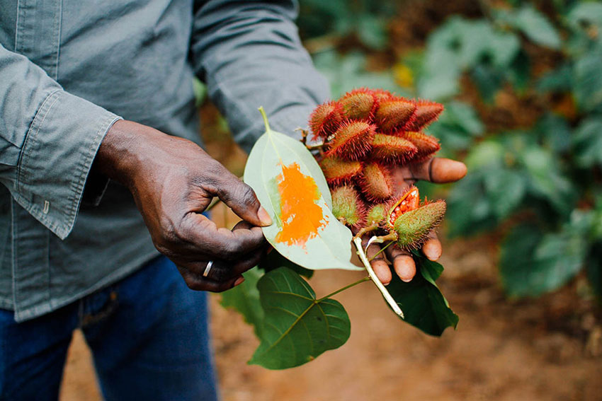 Zanzibar Spice Farms